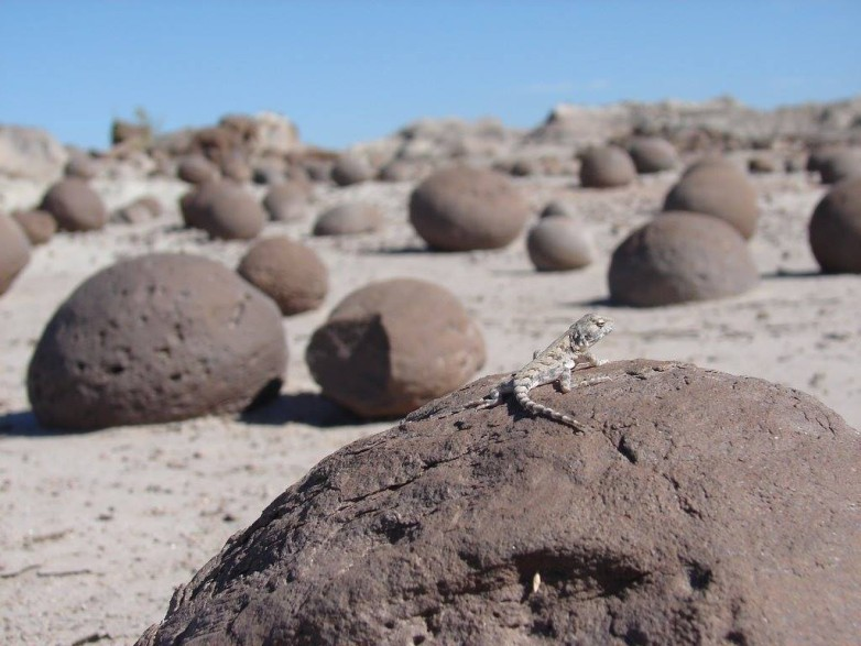 Ischigualasto fue elegido como uno de los Segundos 100 Sitios de Patrimonio Geológico