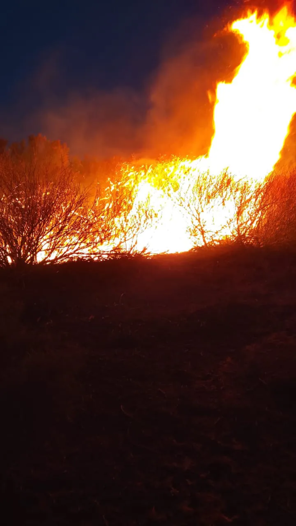 Intenso viento Zonda: hubo 32 incendios en San Juan y apuntaron contra los actos imprudentes