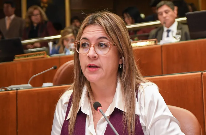 Diputada orregusita celebró la condena de Cristina: «día histórico»